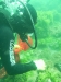 SEA&SEA 1200HD