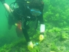 SEA&SEA 1200HD