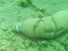 SEA&SEA 1200HD