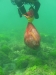 SEA&SEA 1200HD