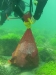 SEA&SEA 1200HD